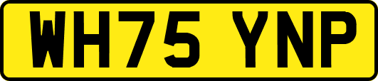 WH75YNP
