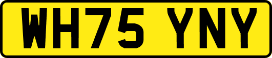 WH75YNY