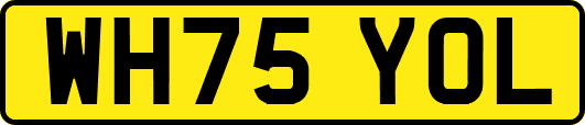WH75YOL