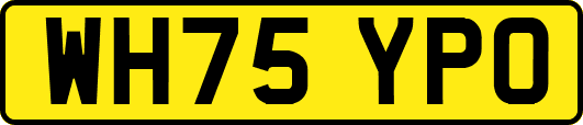 WH75YPO