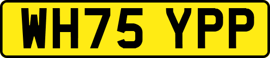 WH75YPP
