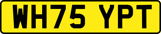 WH75YPT
