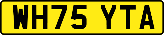 WH75YTA