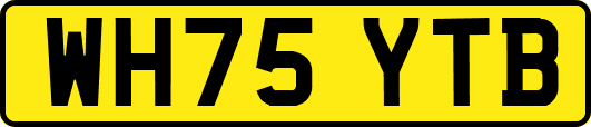 WH75YTB