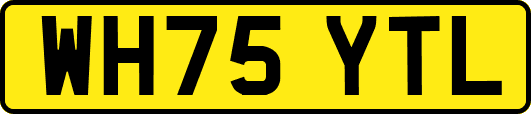 WH75YTL