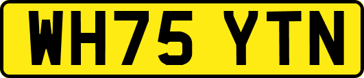 WH75YTN