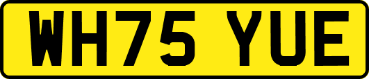 WH75YUE