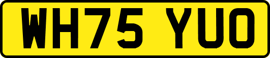 WH75YUO