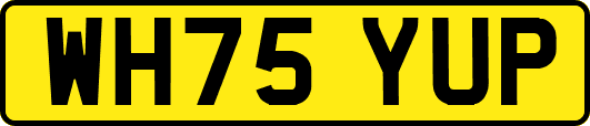 WH75YUP