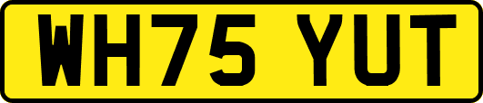 WH75YUT