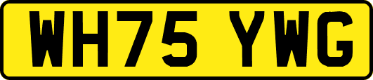 WH75YWG