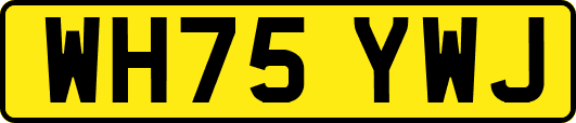 WH75YWJ