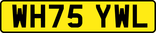 WH75YWL