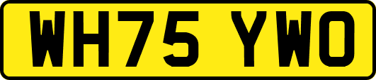 WH75YWO