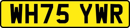 WH75YWR