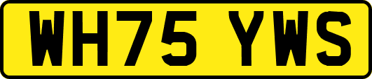WH75YWS