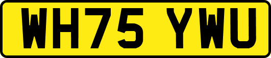 WH75YWU