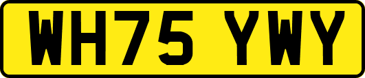 WH75YWY