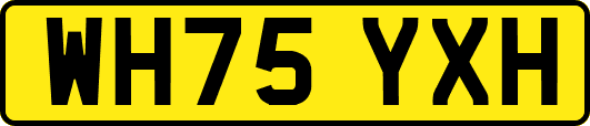 WH75YXH