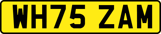 WH75ZAM