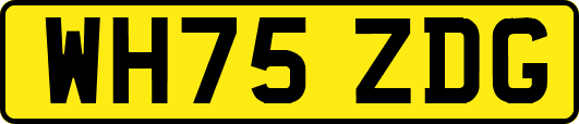 WH75ZDG