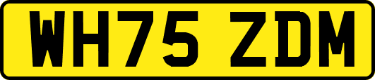 WH75ZDM