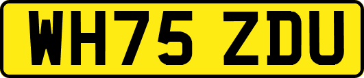 WH75ZDU