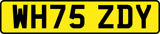 WH75ZDY
