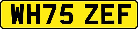 WH75ZEF