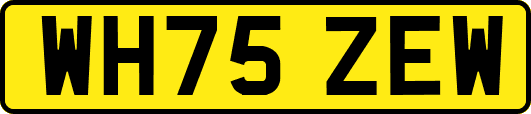WH75ZEW