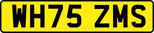 WH75ZMS