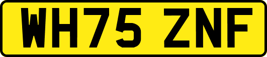WH75ZNF