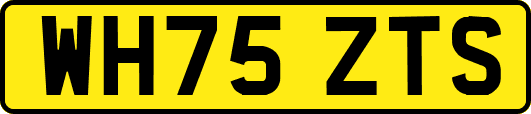 WH75ZTS