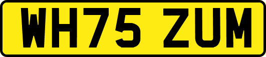 WH75ZUM