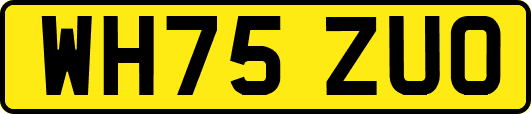 WH75ZUO