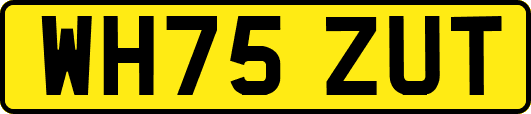 WH75ZUT