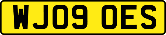 WJ09OES
