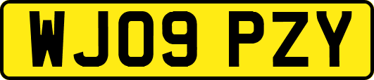 WJ09PZY