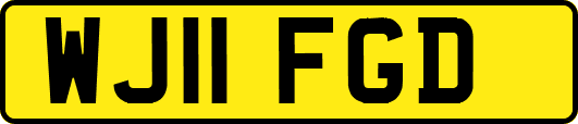 WJ11FGD