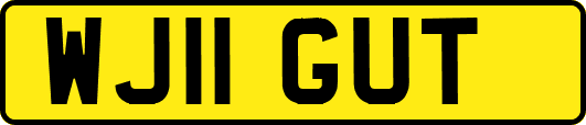 WJ11GUT