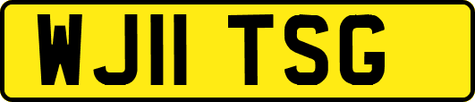 WJ11TSG