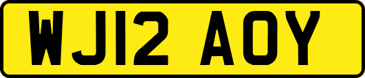 WJ12AOY