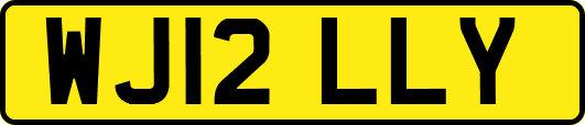 WJ12LLY