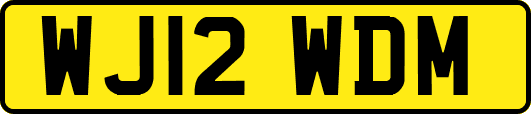 WJ12WDM