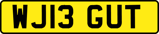 WJ13GUT