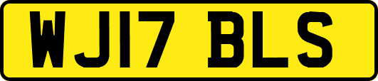 WJ17BLS