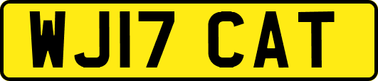 WJ17CAT