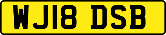 WJ18DSB
