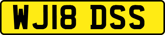 WJ18DSS