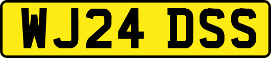 WJ24DSS